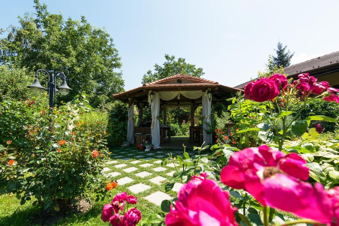 Hotel Bielmann Sînpetru エクステリア 写真