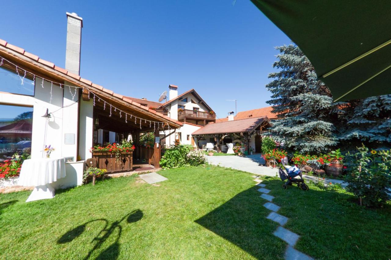 Hotel Bielmann Sînpetru エクステリア 写真