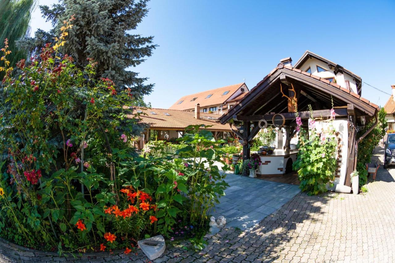Hotel Bielmann Sînpetru エクステリア 写真