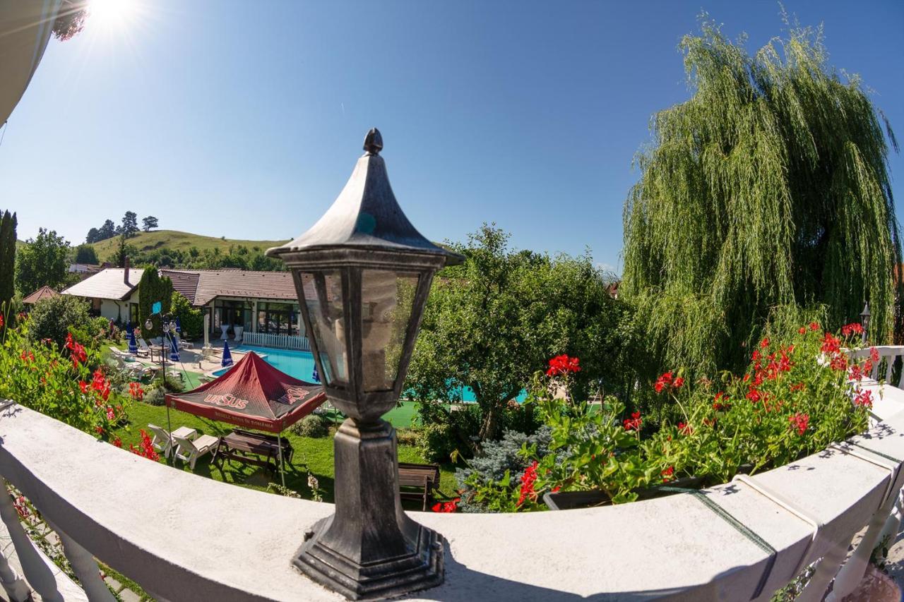 Hotel Bielmann Sînpetru エクステリア 写真