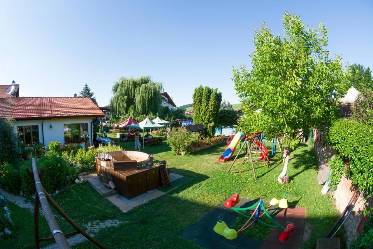 Hotel Bielmann Sînpetru エクステリア 写真