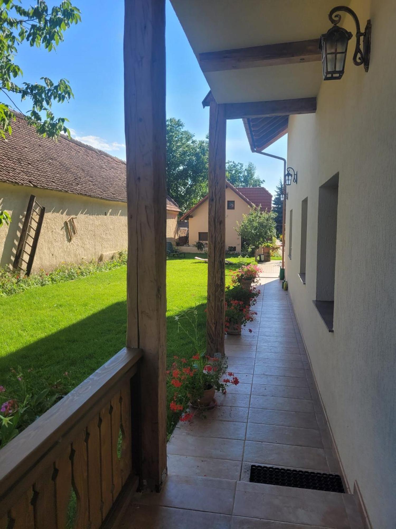 Hotel Bielmann Sînpetru エクステリア 写真