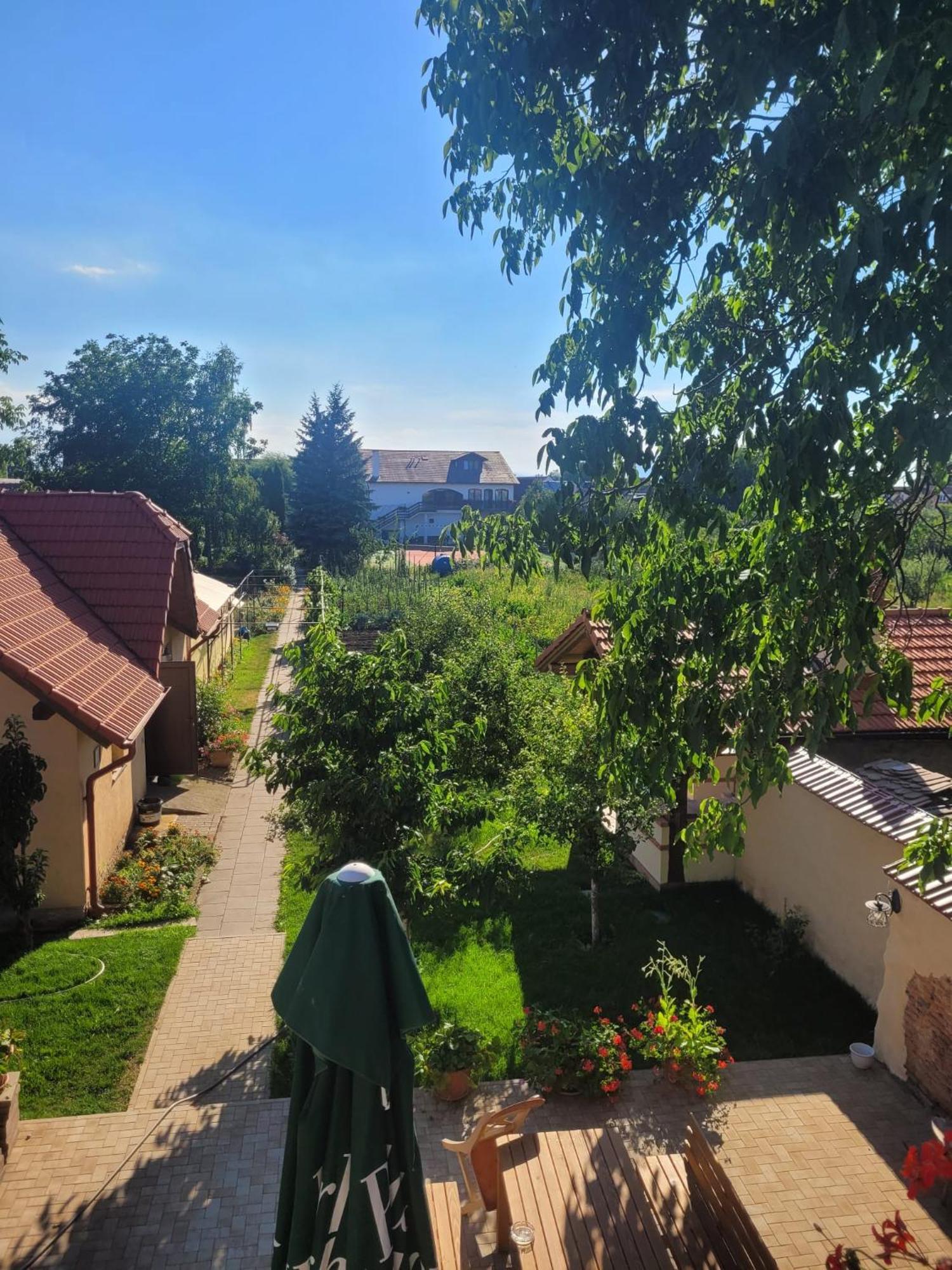 Hotel Bielmann Sînpetru エクステリア 写真