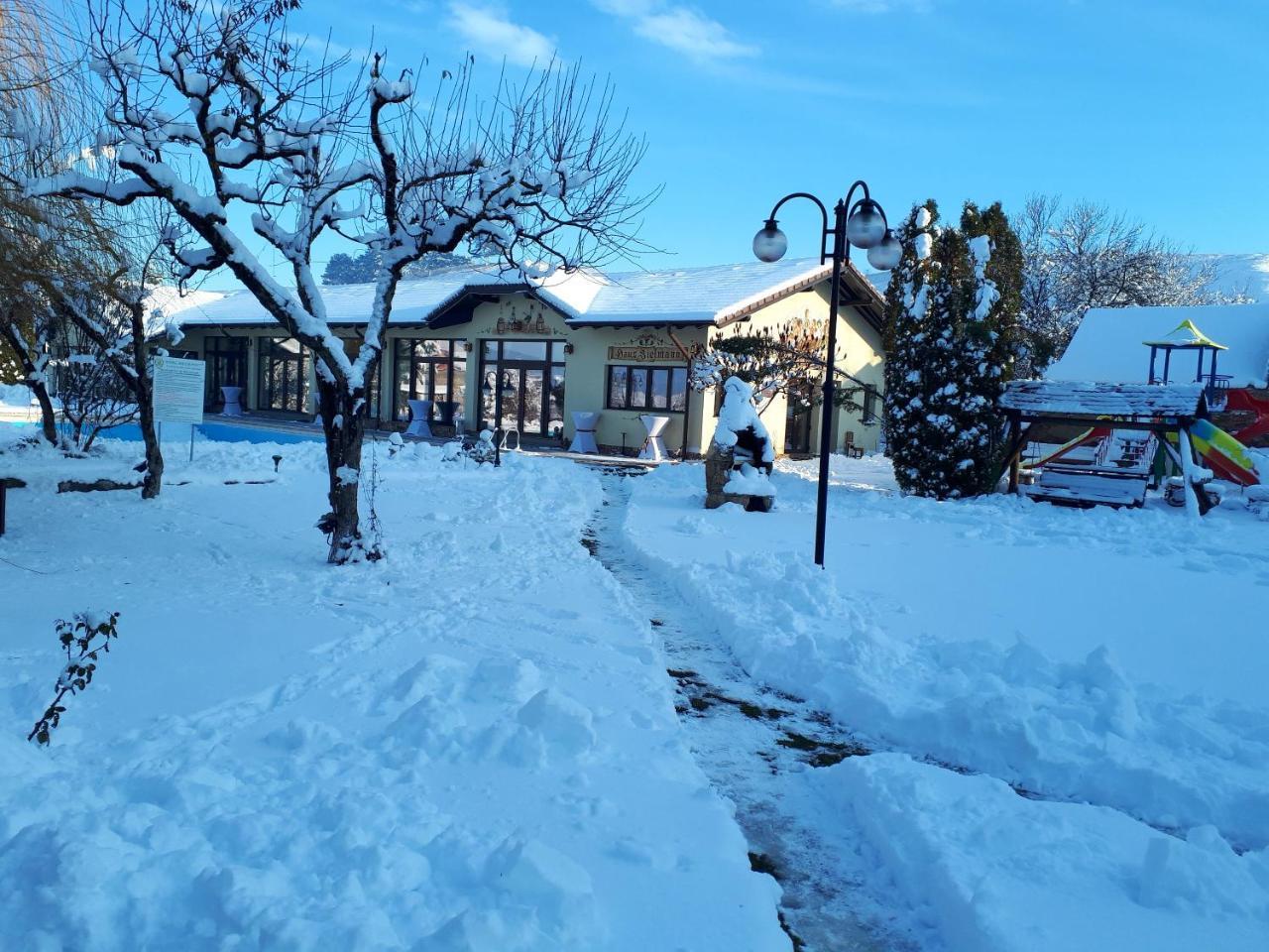 Hotel Bielmann Sînpetru エクステリア 写真